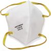 N95 Mask