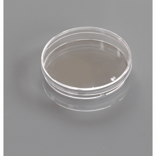 Petri-Dish-2-500×500