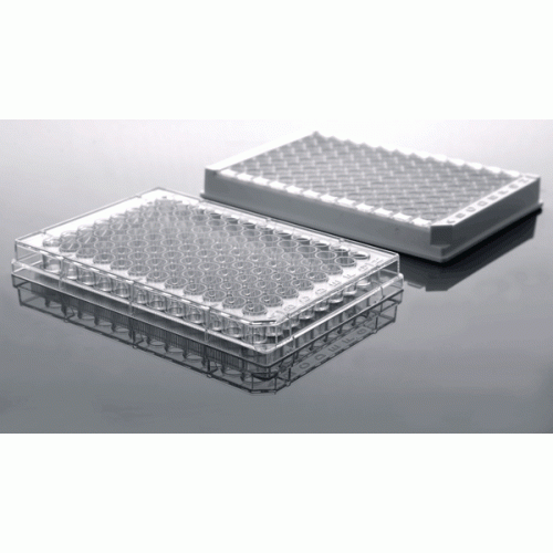 Elisa-plates–500×500