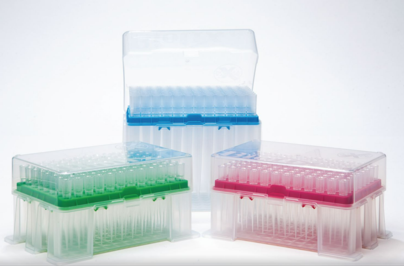 Screenshot 2022-11-16 214824